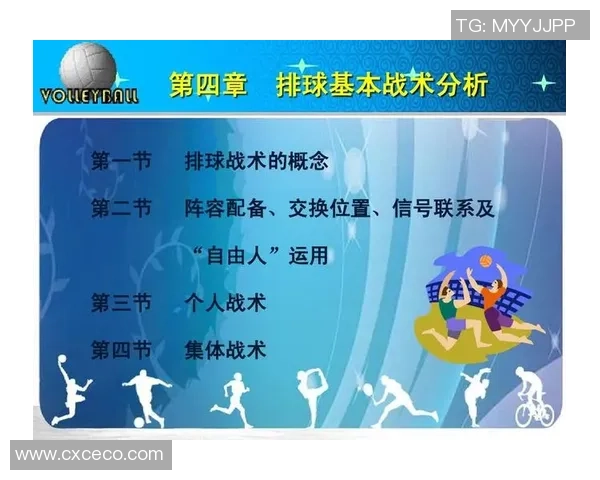 独家深度解析杭州排球队配合策略与战术优势的全面对比分析