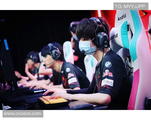 深入解析FPX战队实力表现与数据分析的背后秘密